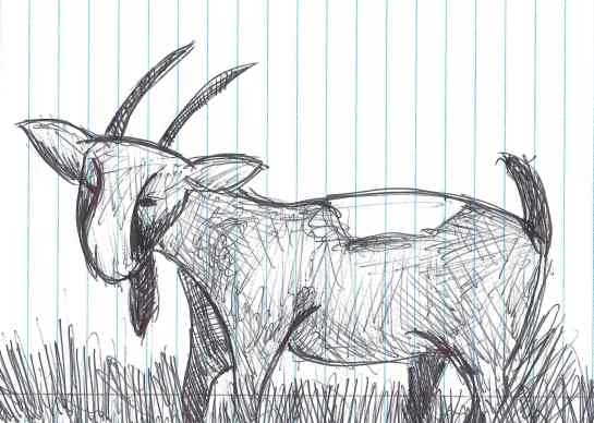 Tragos. Doodle by me.