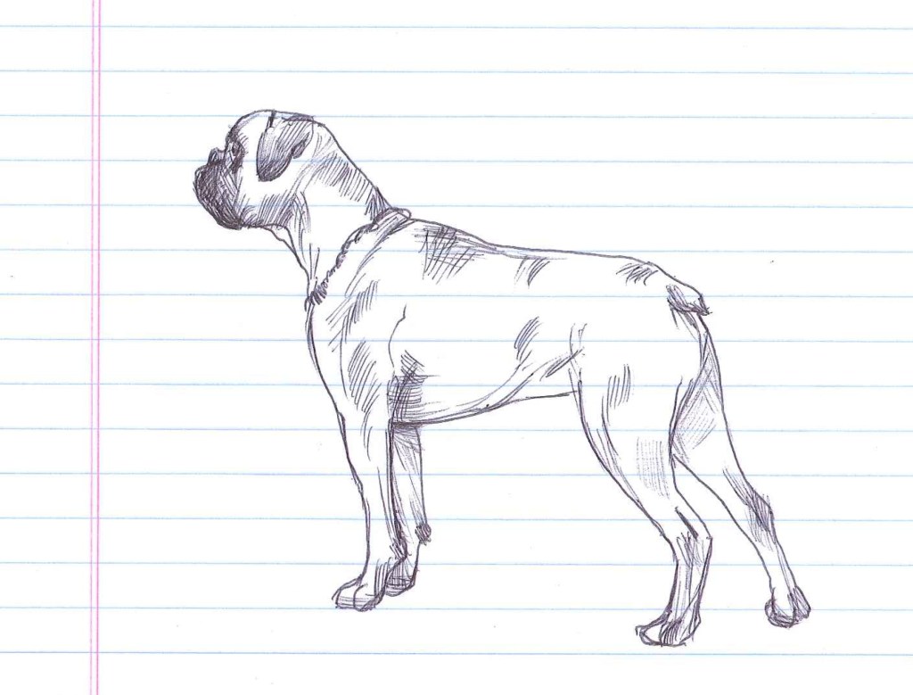 "Docket." Doodle by @andrescalo. 