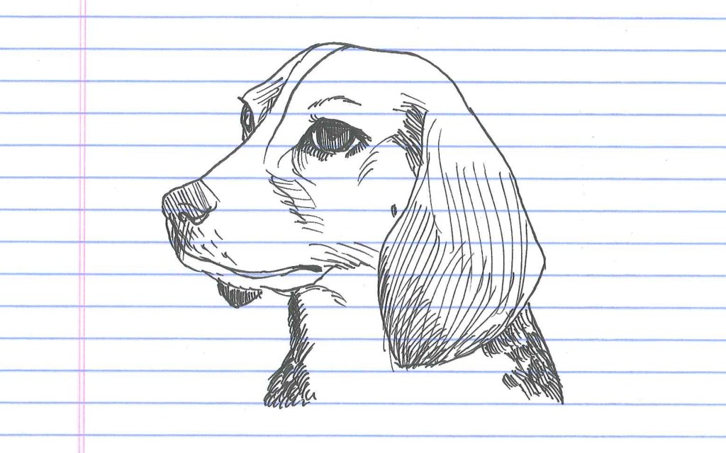 "Beagle." Doodle by andrescalo.