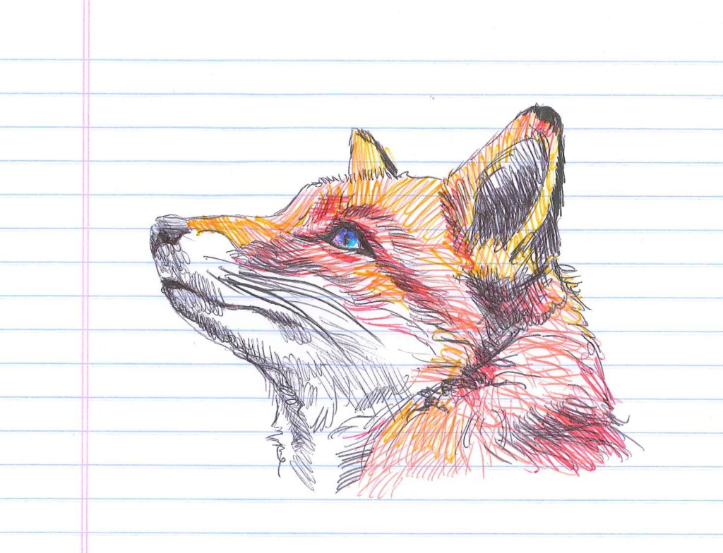 What does the fox say? Nothing. It's skulking. Doodle by @andrescalo