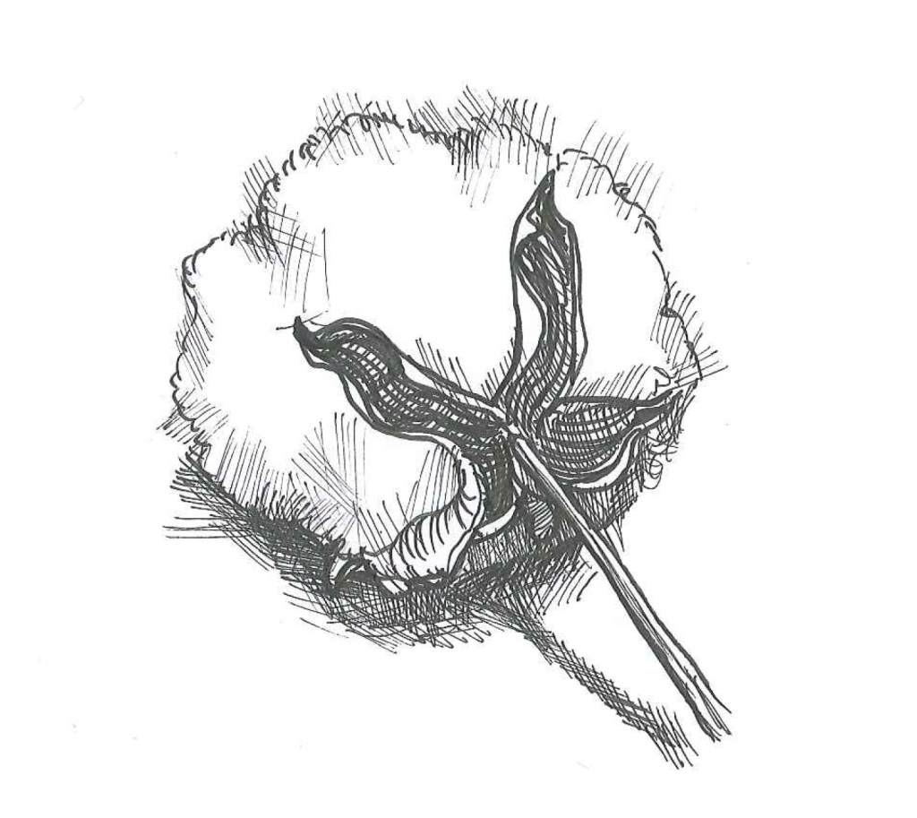 Cotton_Ink on paper_doodle