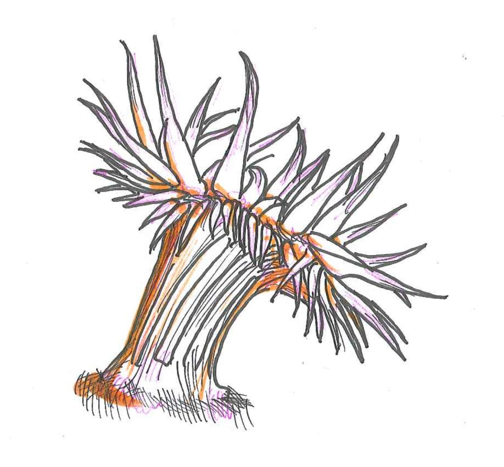 Attack of the anemones? "Sea anemone." Ink, ballpoint, and highlighter on paper. Doodle by @andrescalo. 