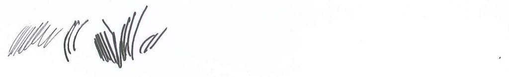 Haunted House_Ink_on_Paper_scribble