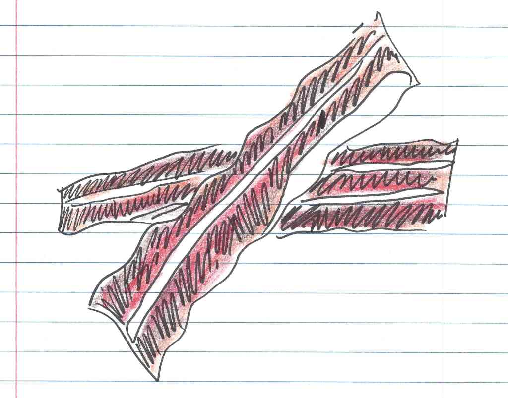 "Bacon." Doodle by me.