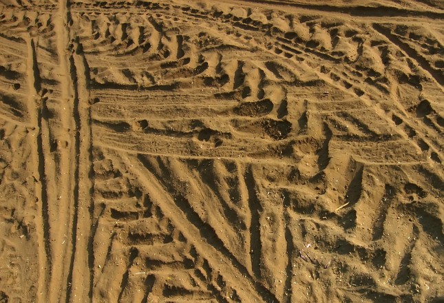 track-marks-2-1167241