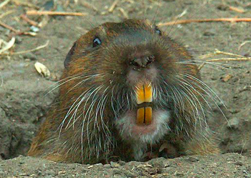 Screen Shot 2017-08-17 at 8.47.31 AM.jpg