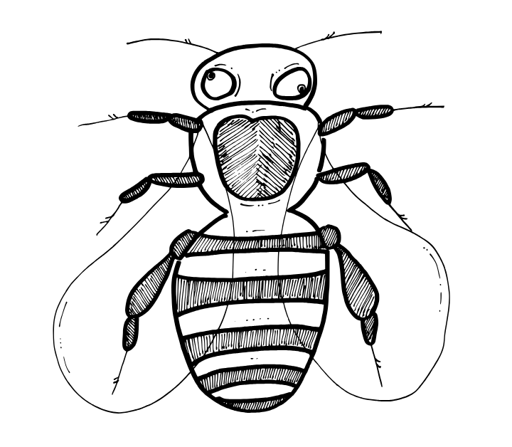 “Drone”: where etymology meets entomology