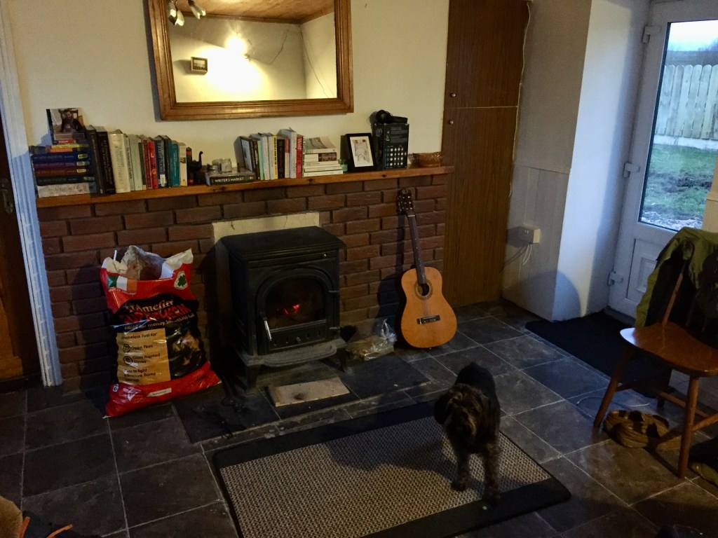 A photograph of the main room of an Irish cottage with a burning stove. An assortment of books are on the mantle above the stove, to the left of which is a bag of coal, to the right a small classical guitar. There is a mirror over the mantle. A shaggy dog, Hugo, stands on a rug in front of the stove.