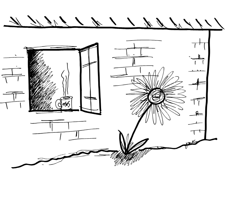 Like tiny, perfect poems: the origins of “daisy” and “window”