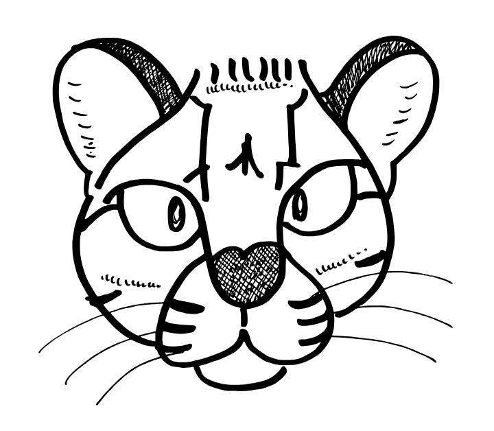 “Tilcayo”: new cat species, long-established name
